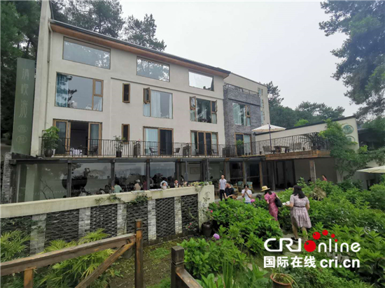 重慶多措並舉開展生態修復 築牢長江上游重要生態屏障_fororder_1