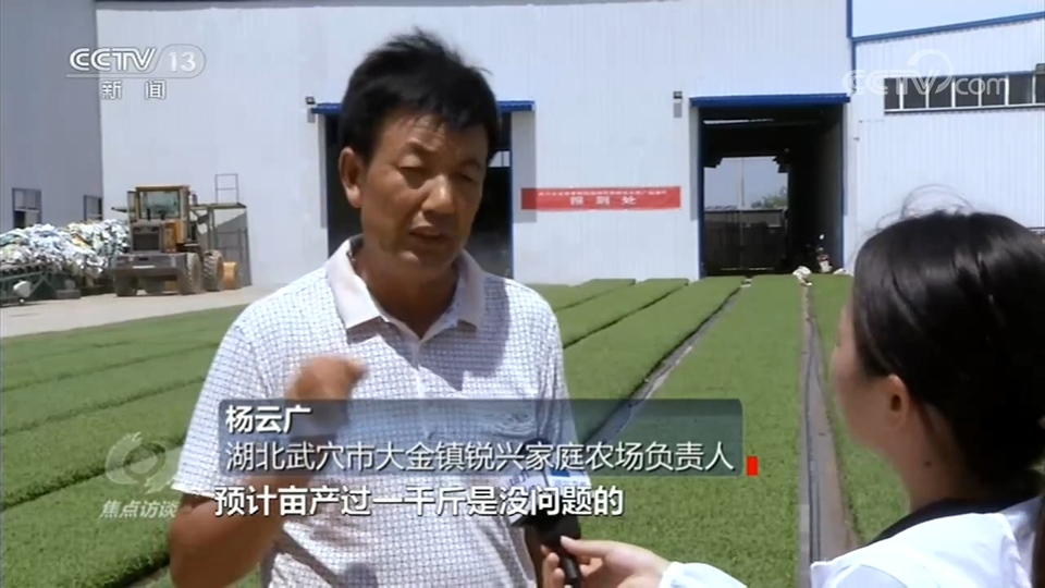 焦點訪談：水退人進、多管齊下，全年糧食豐收就靠他們了！