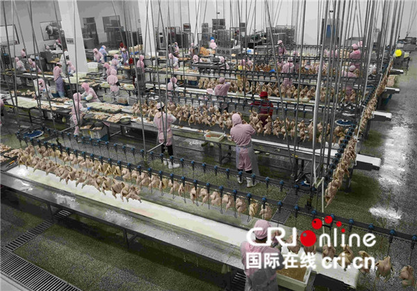 圖片默認標題_fororder_004