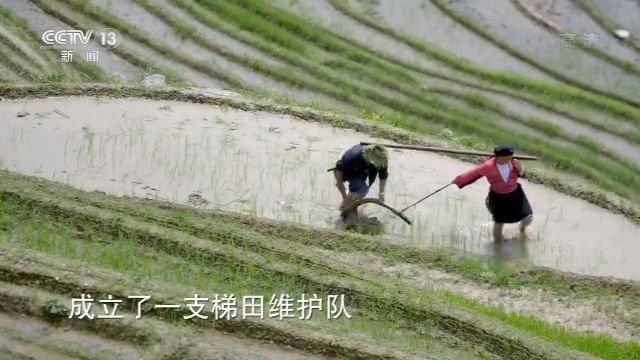 一村一寨總關情丨廣西大寨村：旅遊致富 綠水青山就是金山銀山