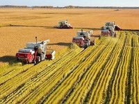 豐收北大荒 中華大糧倉 十大網紅大地號等您來“打卡”