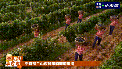五穀豐登 魚肥蟹美 我們豐收啦！