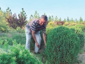 庫布其：沙漠變綠生態富民