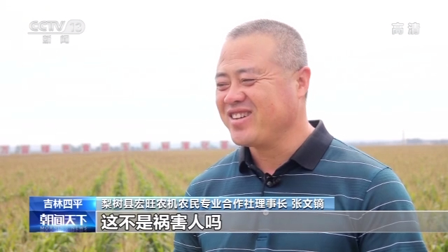 走向我們的小康生活丨吉林梨樹：現代農業賦予黑土地新生命