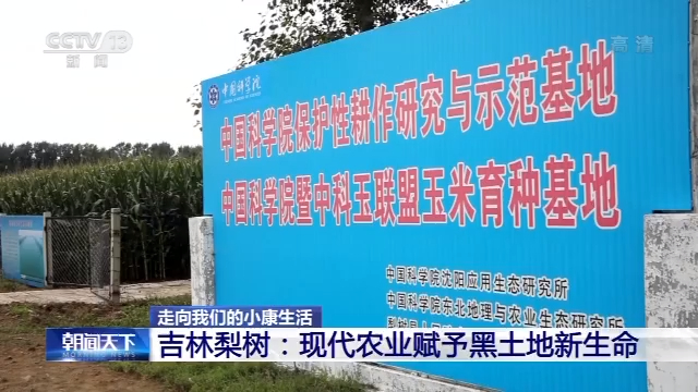 走向我們的小康生活丨吉林梨樹：現代農業賦予黑土地新生命