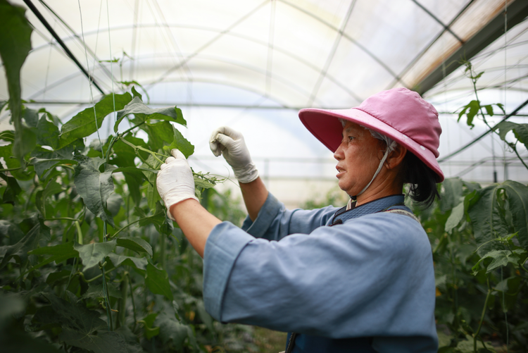 走向我們的小康生活|麻山突圍記