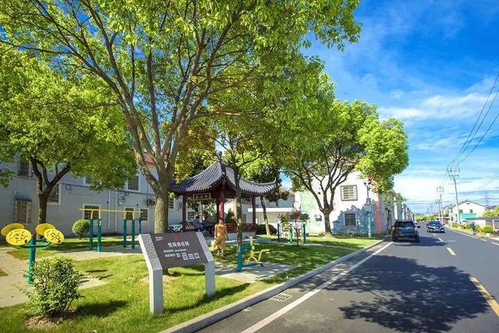 樂遊田園間 慢享觀光園 | 曹娥街道開展“百城千縣萬村”調研活動