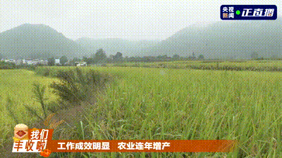 五穀豐登 魚肥蟹美 我們豐收啦！