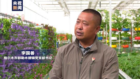 坐著高鐵看中國丨走近青藏鐵路 格爾木：小枸杞撐起戈壁綠洲