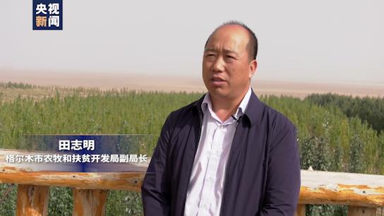 坐著高鐵看中國丨走近青藏鐵路 格爾木：小枸杞撐起戈壁綠洲