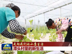 【走向我們的小康生活】潭頭村裏的新生活