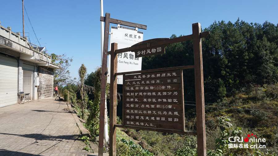 【共舞長江經濟帶•看高品質發展】重慶萬州鳳凰山農旅融合 走出“高顏值”致富路