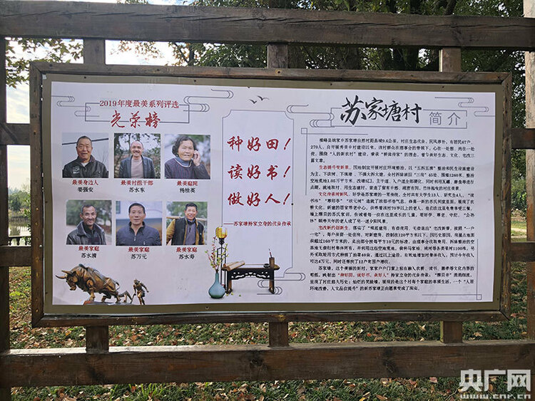 【共舞長江經濟帶·看高品質發展】“綠色蝶變”讓耕讀小村邁向振興