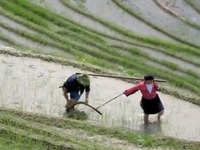 一村一寨總關情丨廣西大寨村：旅遊致富 綠水青山就是金山銀山