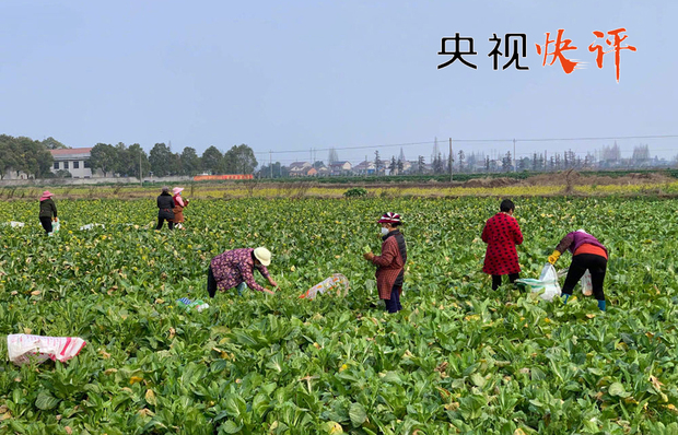 【央視快評】建立與疫情防控相適應的經濟社會運行秩序