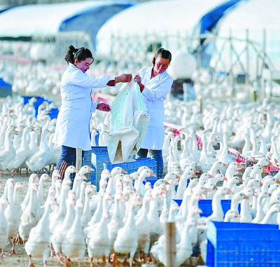 透過畫面 聽到笑聲——新疆32個貧困縣全部脫貧
