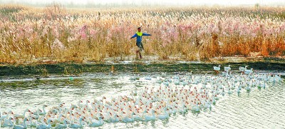 透過畫面 聽到笑聲——新疆32個貧困縣全部脫貧