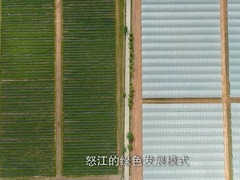 《激越怒江》第三集不負青山_fororder_QQ截圖20210205113103