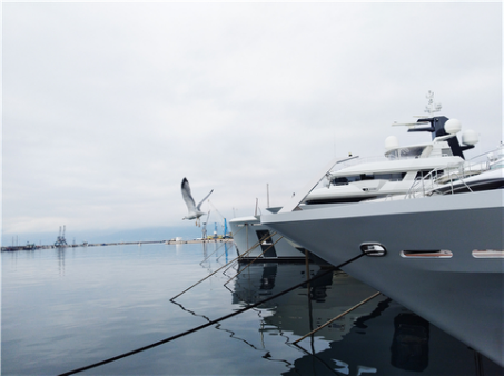 The Photo Collection Activity of "Central and Eastern Europe in the Eyes of Liaoning Photographers" has been launched to the world_fororder_11