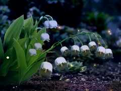 全球首發！動畫版阿卡貝拉《植物總動員》_fororder_微信截圖_20190506144921
