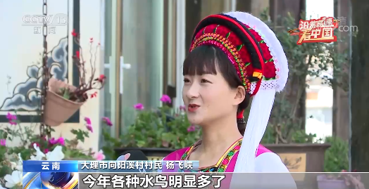 沿著高速看中國丨走思小、大麗高速 看彩雲之南綠色發展之路