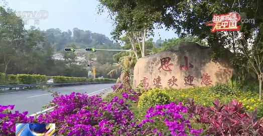 沿著高速看中國丨走思小、大麗高速 看彩雲之南綠色發展之路