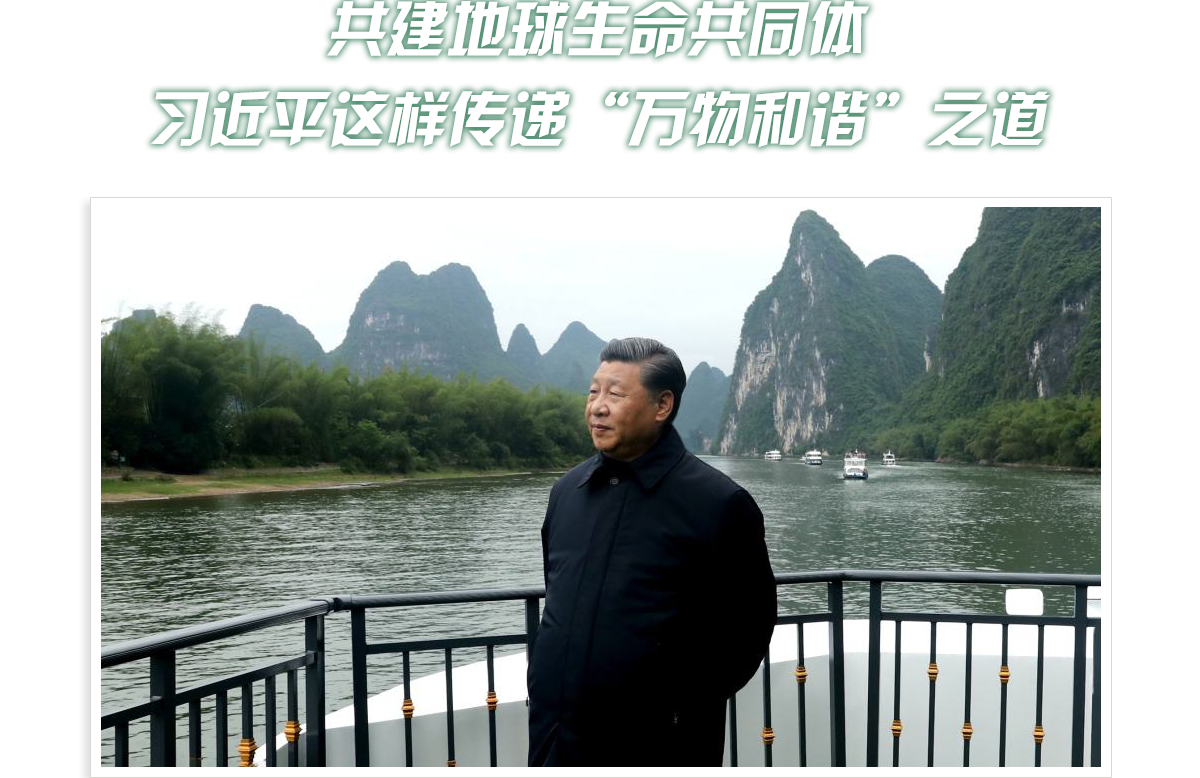 頭圖_fororder_PC-綠色