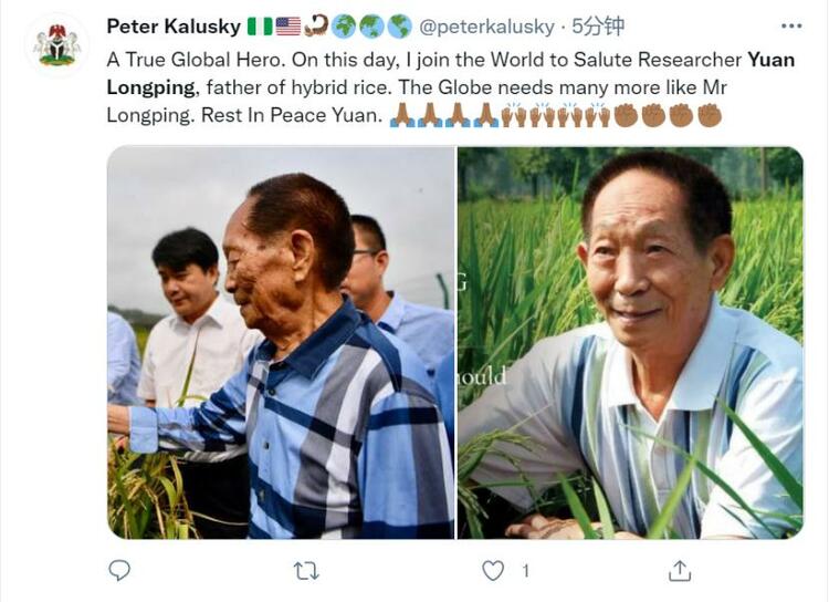 海外媒體和網友致敬袁隆平：他是全世界的英雄！_fororder_3