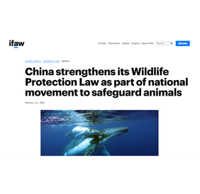 國際愛護動物基金會網站：_fororder_動物基金會