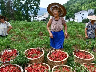百年夢圓照此心——以習近平同志為核心的黨中央引領全面建成小康社會紀實