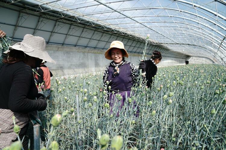 雪域歡歌70載·西藏啟航新時代丨西藏創新傳統産業力促經濟轉型