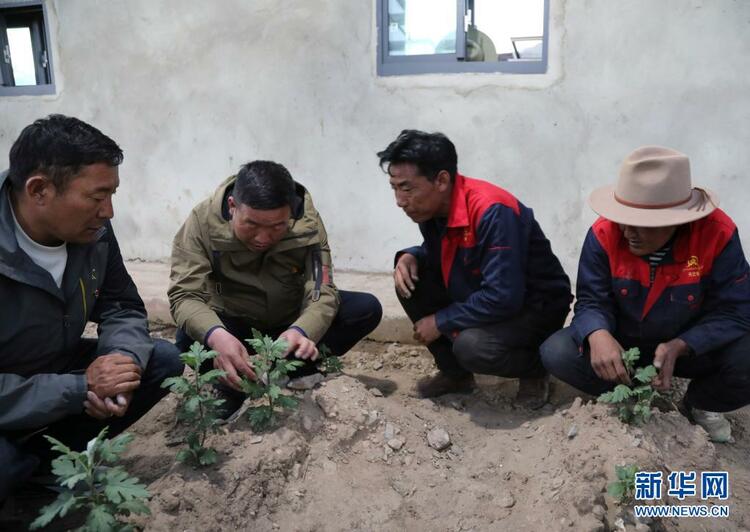 奮鬥百年路 啟航新征程·全國“兩優一先”風采錄丨李明陽：一個“80”後的高原芳華