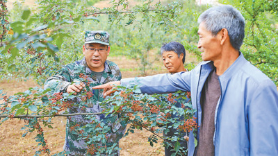 甘肅省張掖軍分區副司令員張洪峰—— 向險而行，敢與困難“拼刺刀”（最美新時代革命軍人）