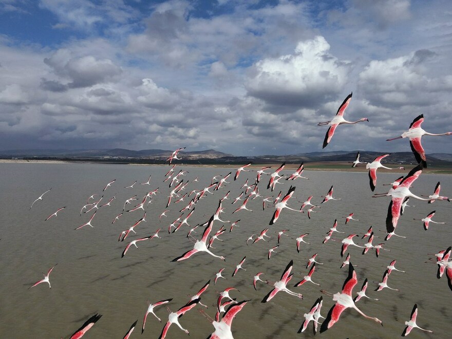 Feature: Turkey's Lake Mogan faces rising threat from urban development_fororder_1