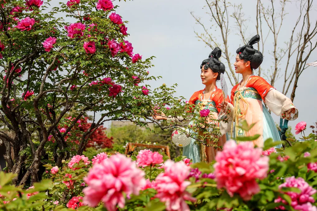 Luoyang to Build Metropolitan Circle of Integrated Culture and Tourism_fororder_圖片4