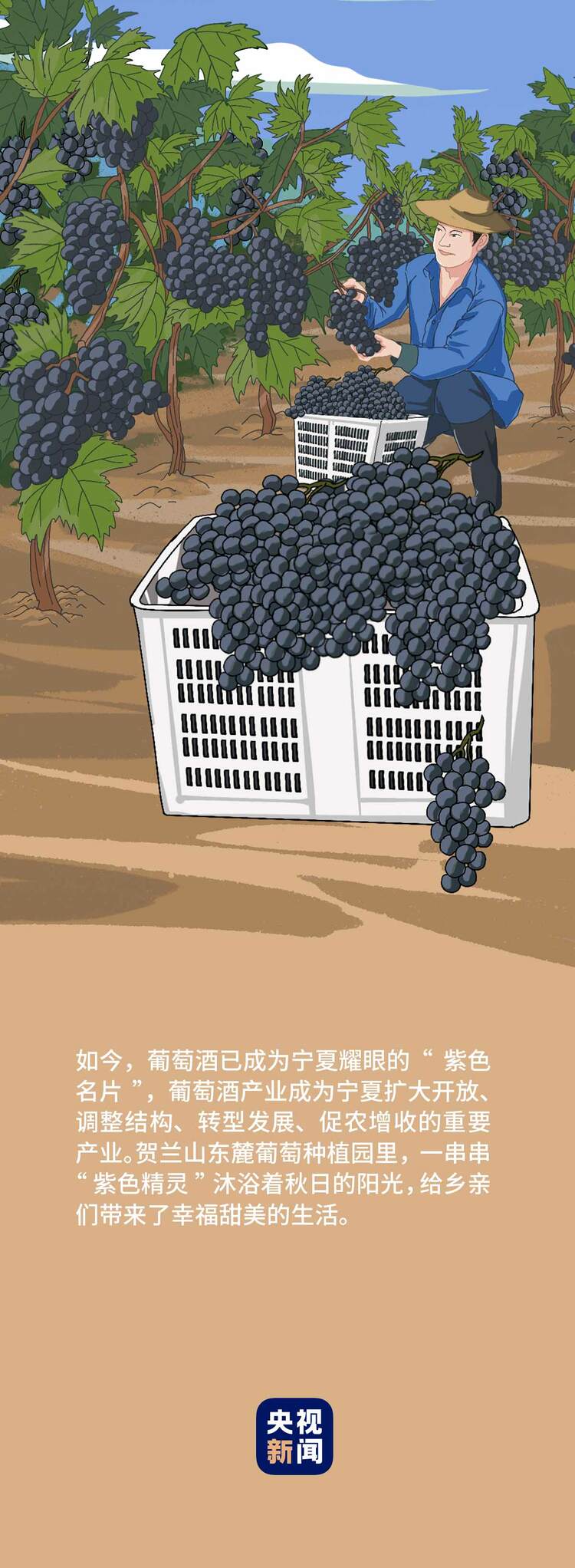 長圖丨豐收時節話桑麻