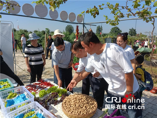 平頂山高新區舉辦中國農民豐收節系列活動_fororder_image001