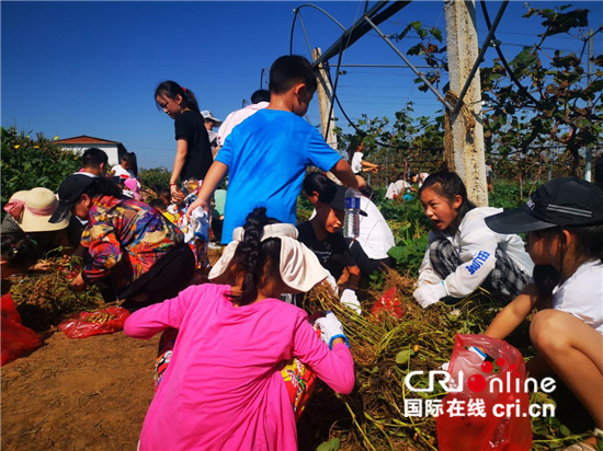 平頂山高新區舉辦中國農民豐收節系列活動_fororder_image005
