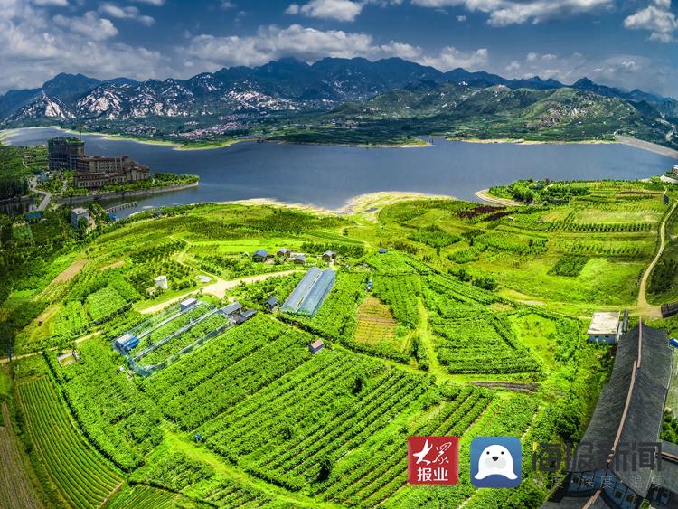 蒙山腳下新農人的夢想：讓所有人吃上優質葡萄