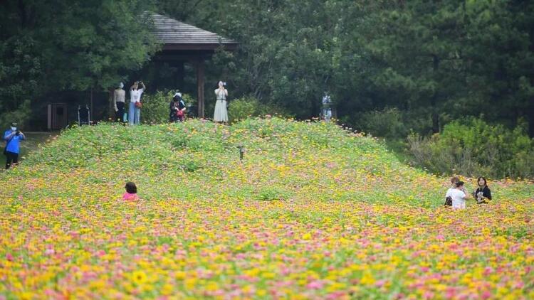 中秋小長假 北京市公園納客201萬人次