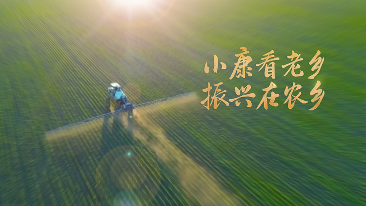 豐收，從哪開始？