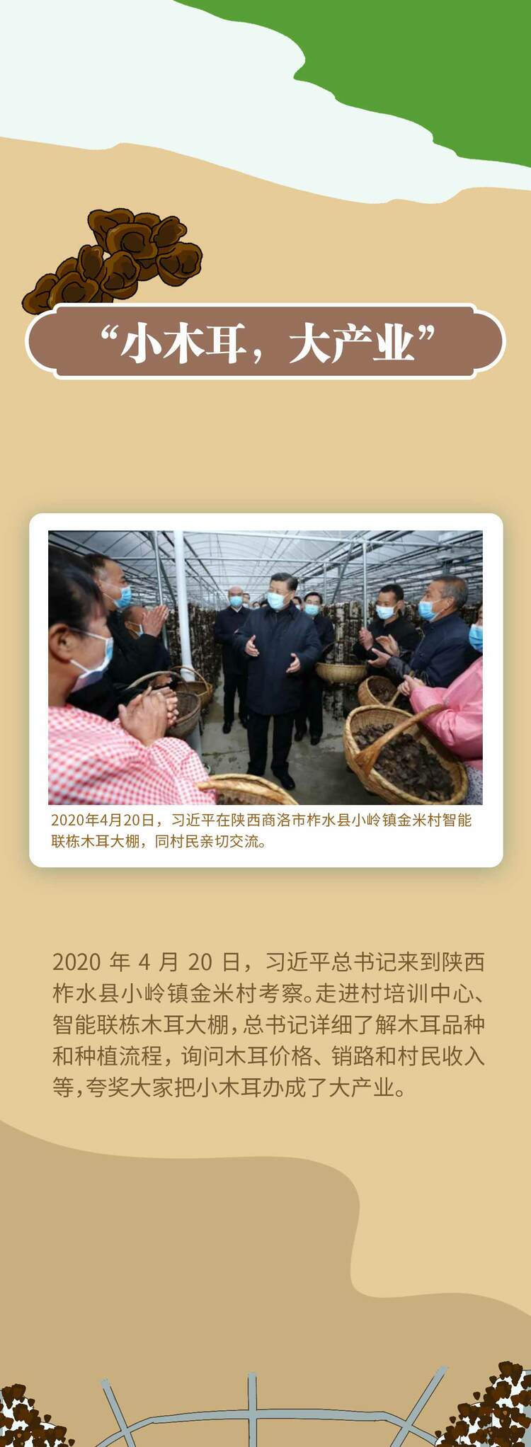 長圖丨豐收時節話桑麻