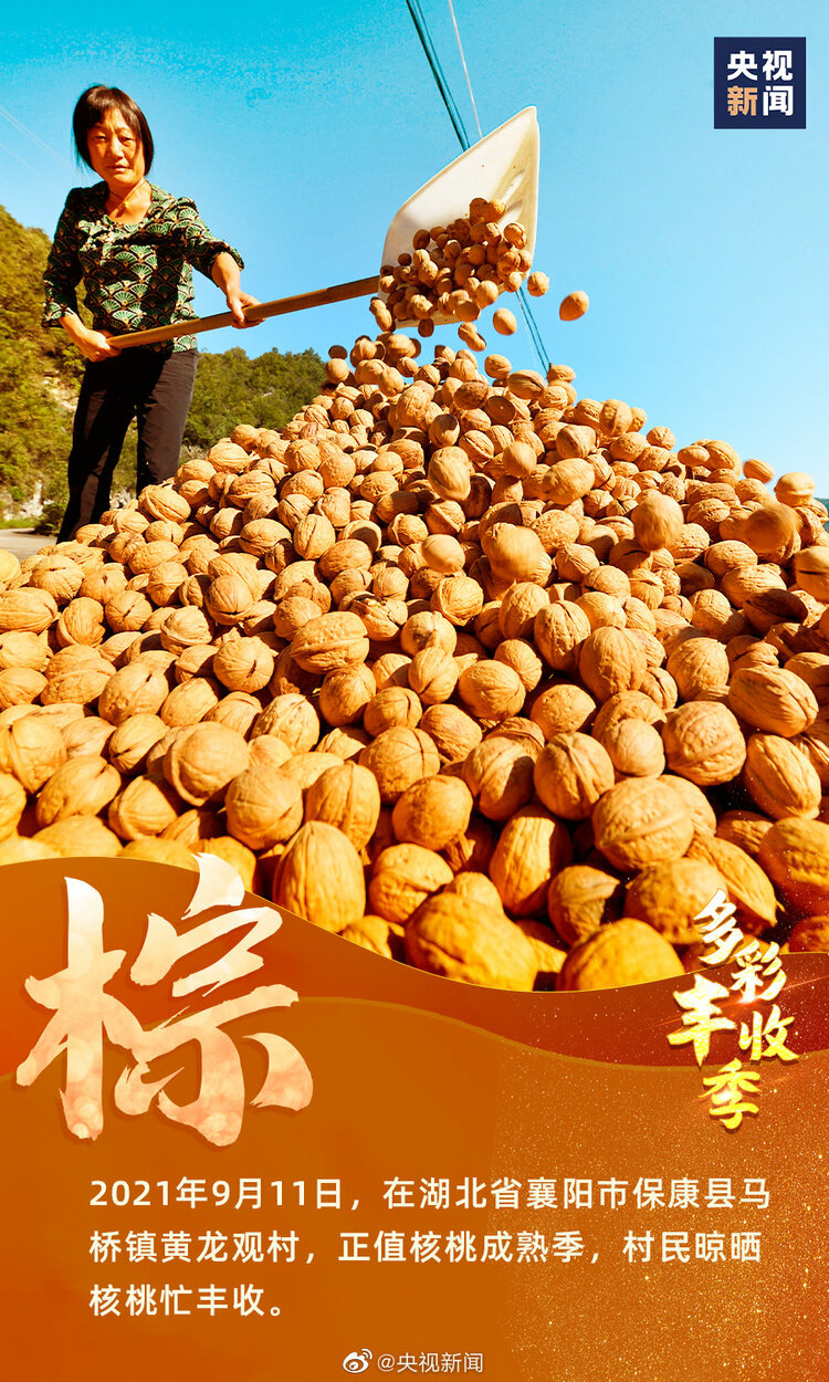 一起慶豐收！9圖看中國多彩豐收季