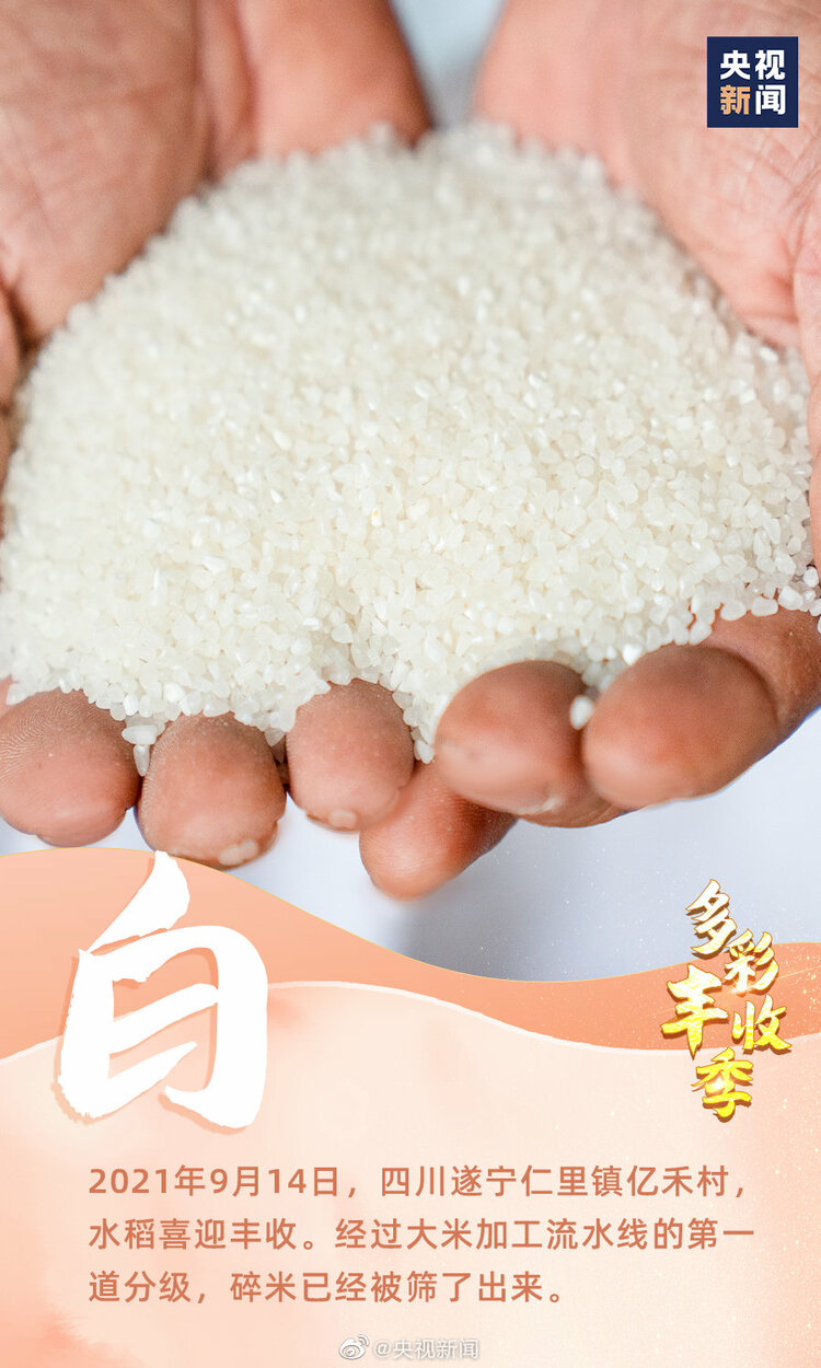 一起慶豐收！9圖看中國多彩豐收季