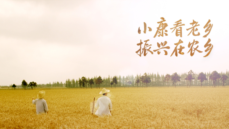 豐收，從哪開始？