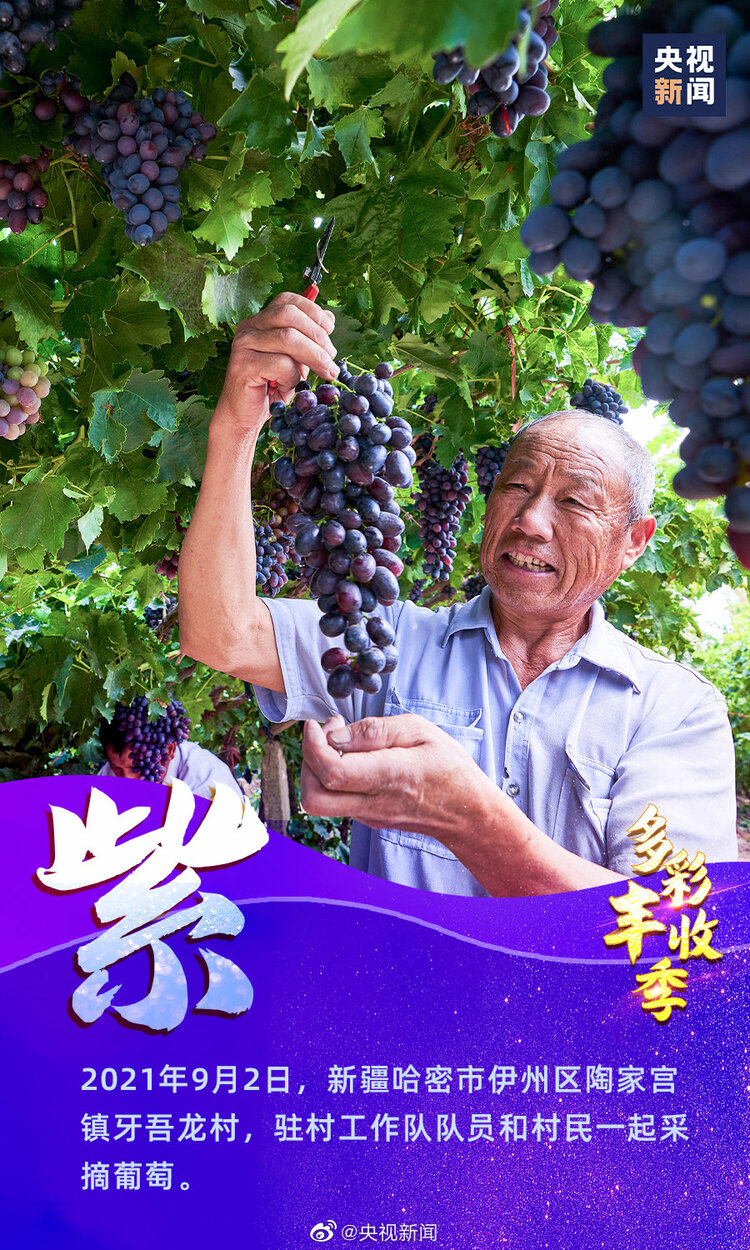 一起慶豐收！9圖看中國多彩豐收季