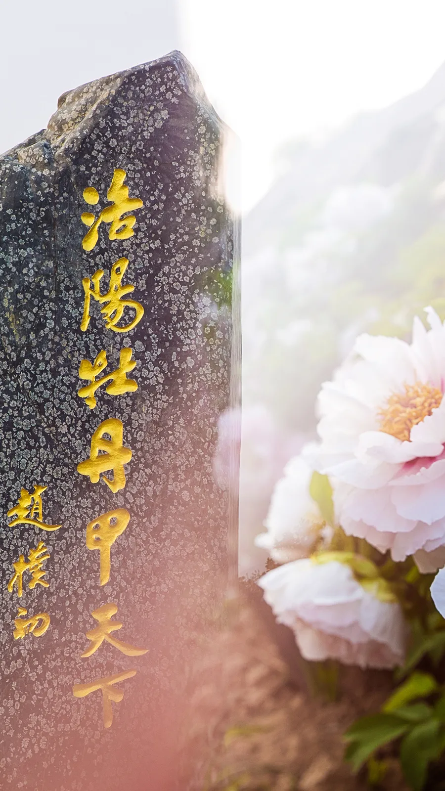 7 Routes in Luoyang for You to Explore!_fororder_圖片6