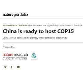 Nature Portfolio網站：_fororder_1