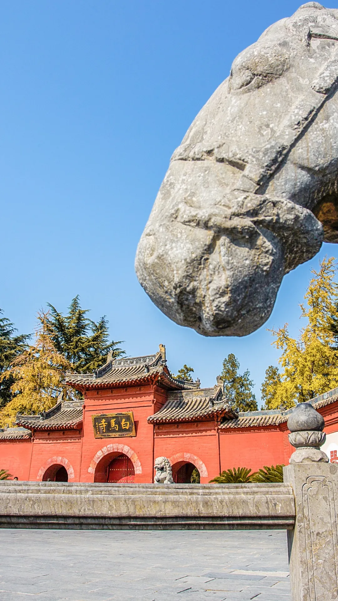 7 Routes in Luoyang for You to Explore!_fororder_圖片3
