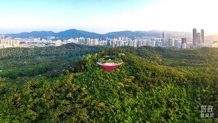 時政新聞眼丨十九屆六中全會審議通過重磅決議，釋放哪些重要信息？